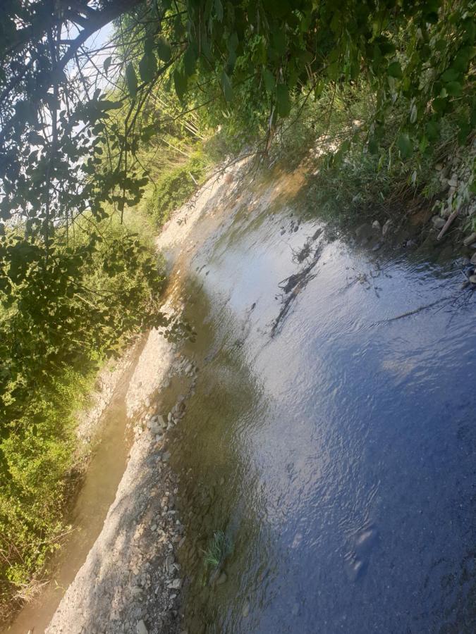 Domek W Twardorzeczce Ostre Esterno foto